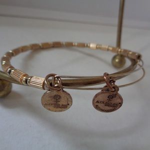 ALEX and ANI slide bangle braclelet
